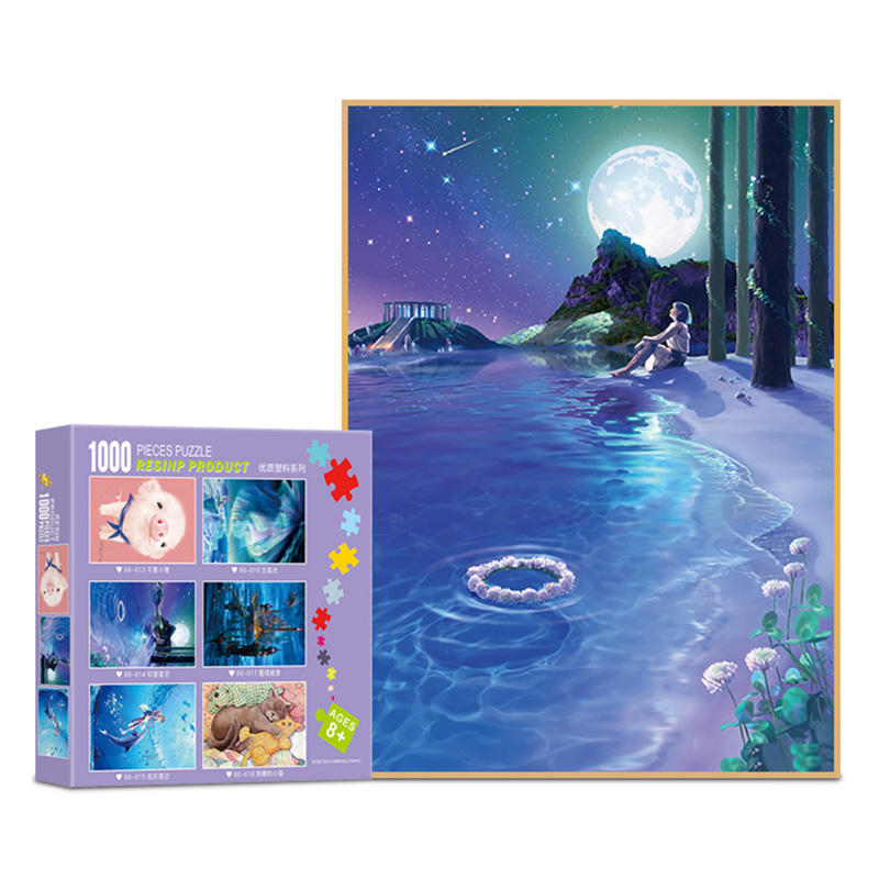 Beliebtestes Lernspielzeug Kunststoff-Puzzlebox Verschiedene Arten von 1000-teiligen Puzzles